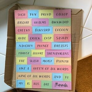 Miranda ( uk comedian) magnet set and such fun bracelet